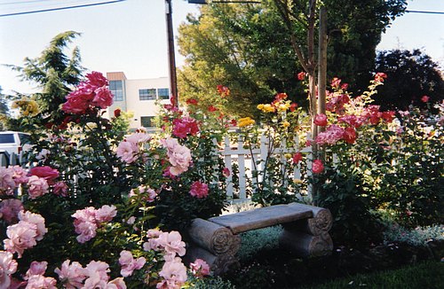 rosegarden.jpg